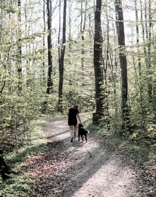 Mensch und Hund im Wald