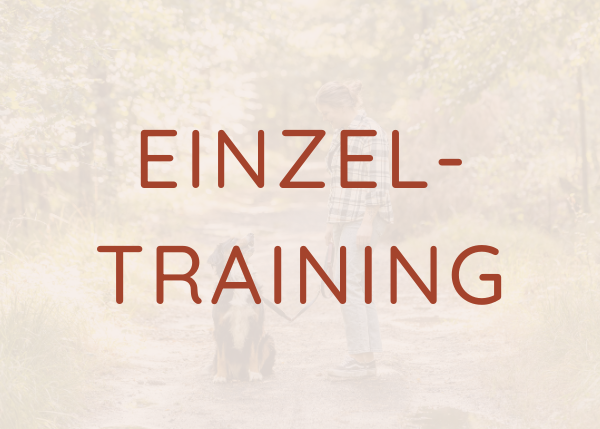 Einzeltraining