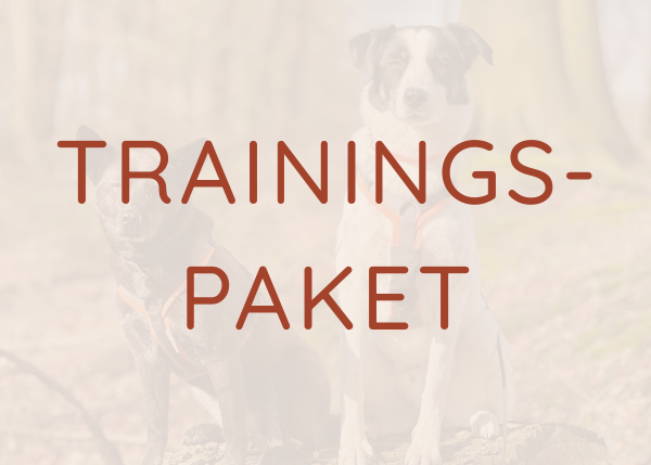 Trainingspaket